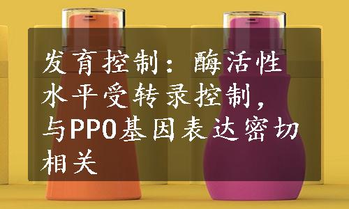 发育控制：酶活性水平受转录控制，与PPO基因表达密切相关