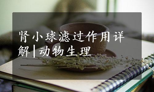 肾小球滤过作用详解|动物生理