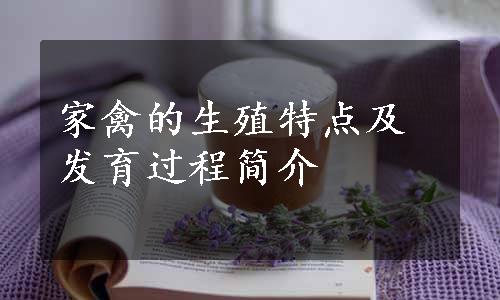 家禽的生殖特点及发育过程简介