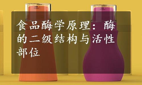 食品酶学原理：酶的二级结构与活性部位