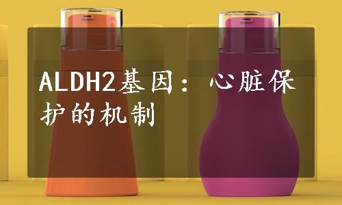 ALDH2基因：心脏保护的机制