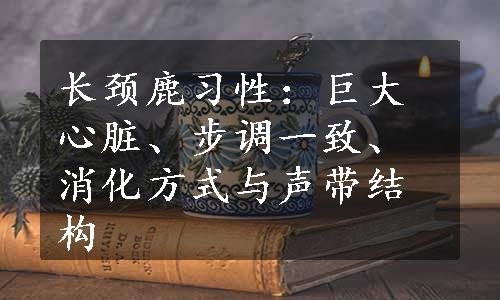 长颈鹿习性：巨大心脏、步调一致、消化方式与声带结构