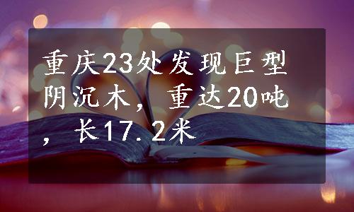 重庆23处发现巨型阴沉木，重达20吨，长17.2米