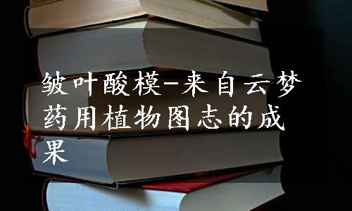 皱叶酸模-来自云梦药用植物图志的成果