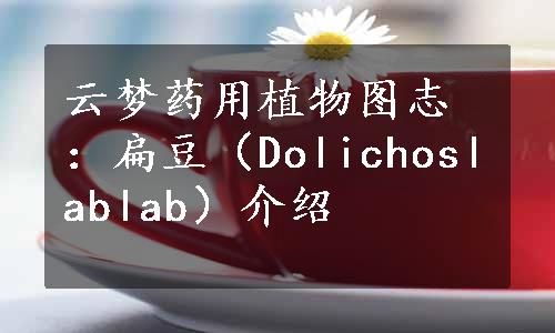 云梦药用植物图志：扁豆（Dolichoslablab）介绍