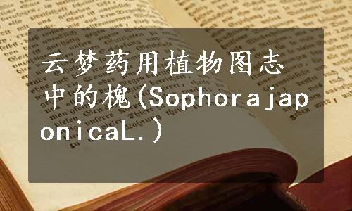 云梦药用植物图志中的槐(SophorajaponicaL.)