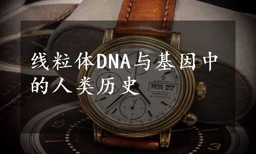 线粒体DNA与基因中的人类历史