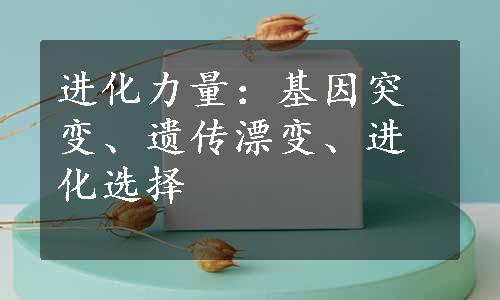 进化力量：基因突变、遗传漂变、进化选择