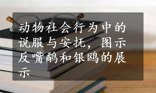 动物社会行为中的说服与安抚，图示反嘴鹬和银鸥的展示