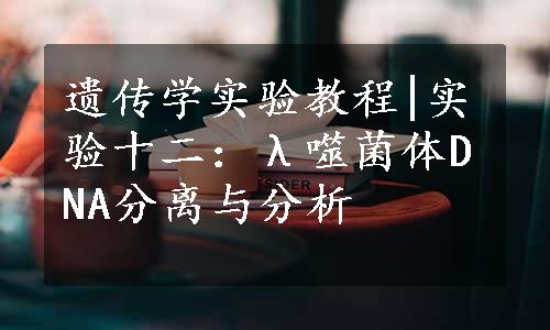 遗传学实验教程|实验十二：λ噬菌体DNA分离与分析