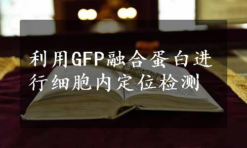 利用GFP融合蛋白进行细胞内定位检测