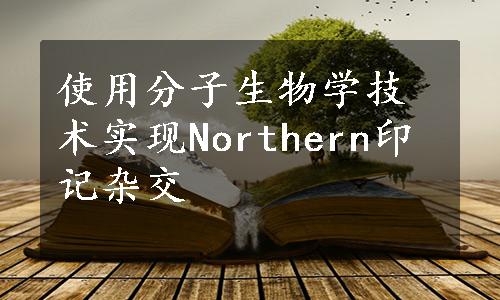 使用分子生物学技术实现Northern印记杂交