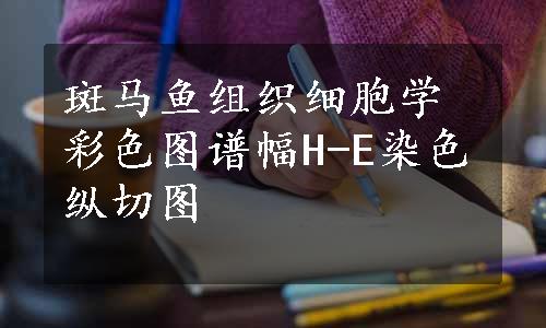 斑马鱼组织细胞学彩色图谱幅H-E染色纵切图