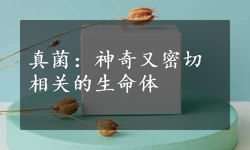 真菌：神奇又密切相关的生命体