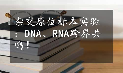 杂交原位标本实验：DNA、RNA跨界共鸣！