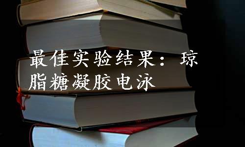 最佳实验结果：琼脂糖凝胶电泳