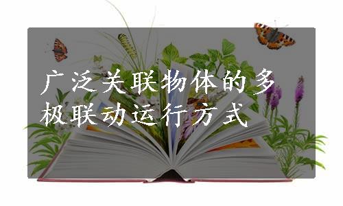 广泛关联物体的多极联动运行方式