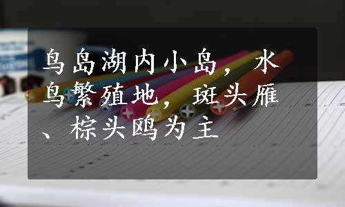 鸟岛湖内小岛，水鸟繁殖地，斑头雁、棕头鸥为主