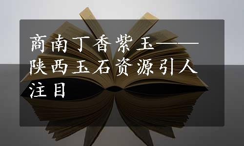 商南丁香紫玉——陕西玉石资源引人注目