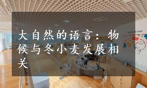 大自然的语言：物候与冬小麦发展相关