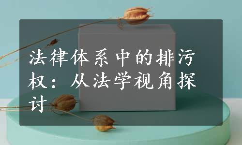 法律体系中的排污权：从法学视角探讨