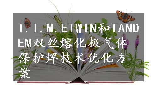 T.I.M.ETWIN和TANDEM双丝熔化极气体保护焊技术优化方案