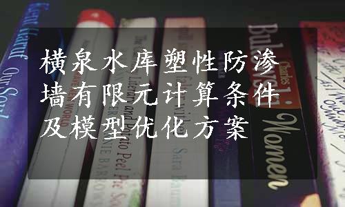 横泉水库塑性防渗墙有限元计算条件及模型优化方案