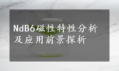 NdB6磁性特性分析及应用前景探析