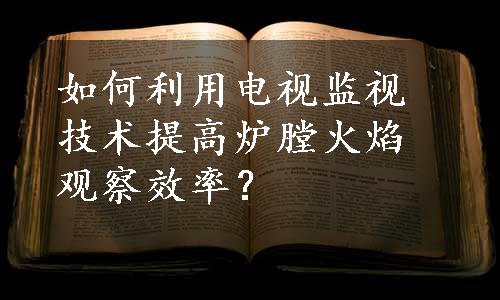 如何利用电视监视技术提高炉膛火焰观察效率？