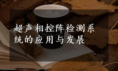 超声相控阵检测系统的应用与发展