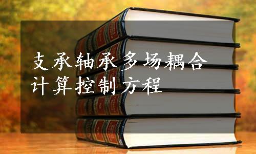 支承轴承多场耦合计算控制方程