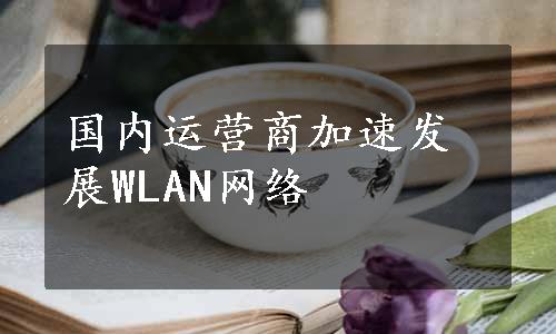 国内运营商加速发展WLAN网络