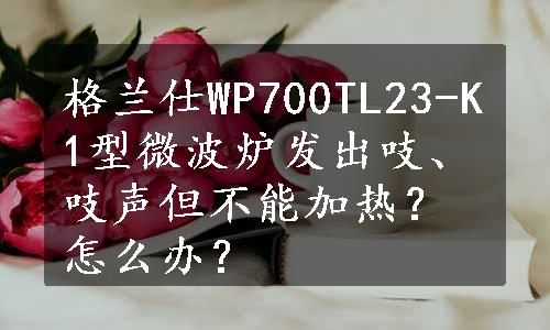 格兰仕WP700TL23-K1型微波炉发出吱、吱声但不能加热？怎么办？