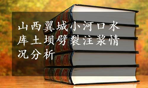 山西翼城小河口水库土坝劈裂注浆情况分析