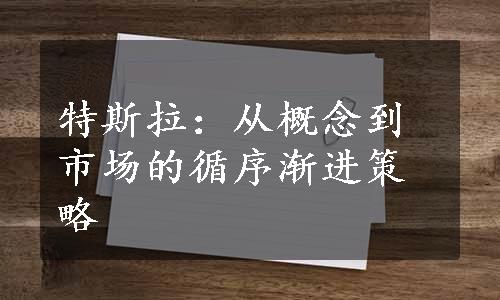 特斯拉：从概念到市场的循序渐进策略