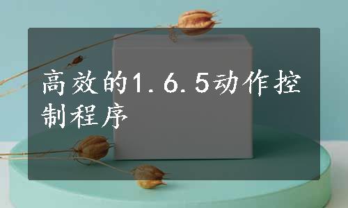 高效的1.6.5动作控制程序