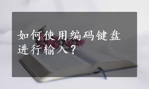 如何使用编码键盘进行输入？