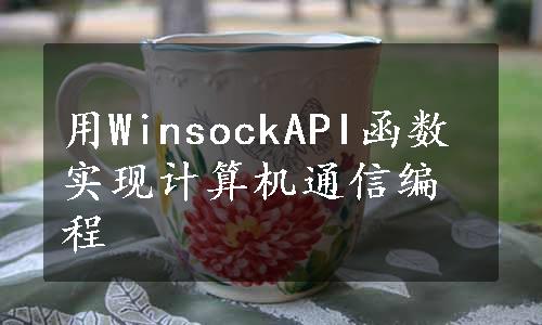 用WinsockAPI函数实现计算机通信编程