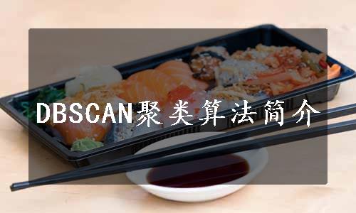 DBSCAN聚类算法简介