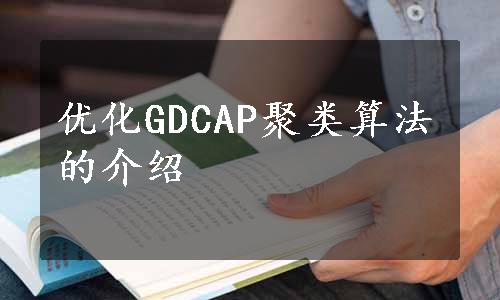 优化GDCAP聚类算法的介绍