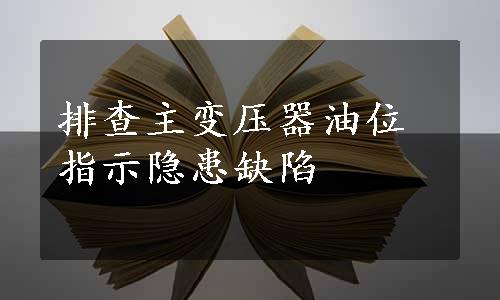 排查主变压器油位指示隐患缺陷