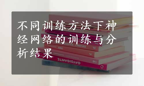 不同训练方法下神经网络的训练与分析结果