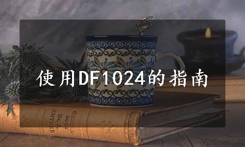 使用DF1024的指南