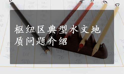 枢纽区典型水文地质问题介绍