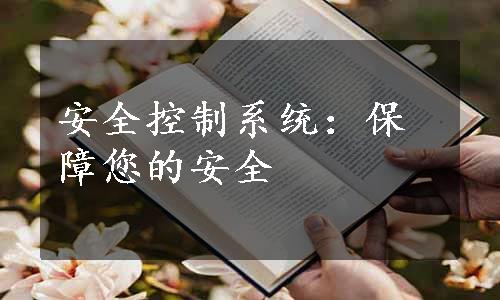 安全控制系统：保障您的安全