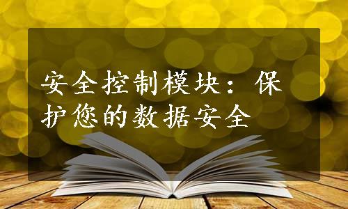 安全控制模块：保护您的数据安全