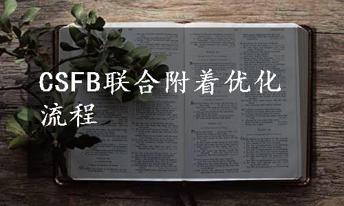 CSFB联合附着优化流程