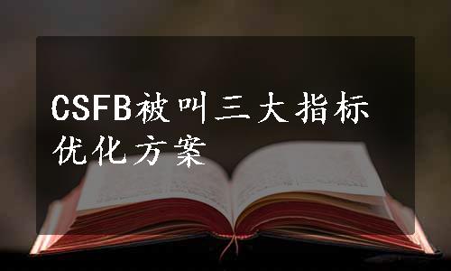 CSFB被叫三大指标优化方案