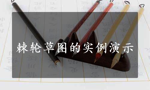 棘轮草图的实例演示