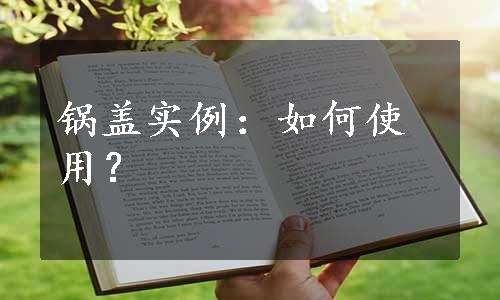 锅盖实例：如何使用？